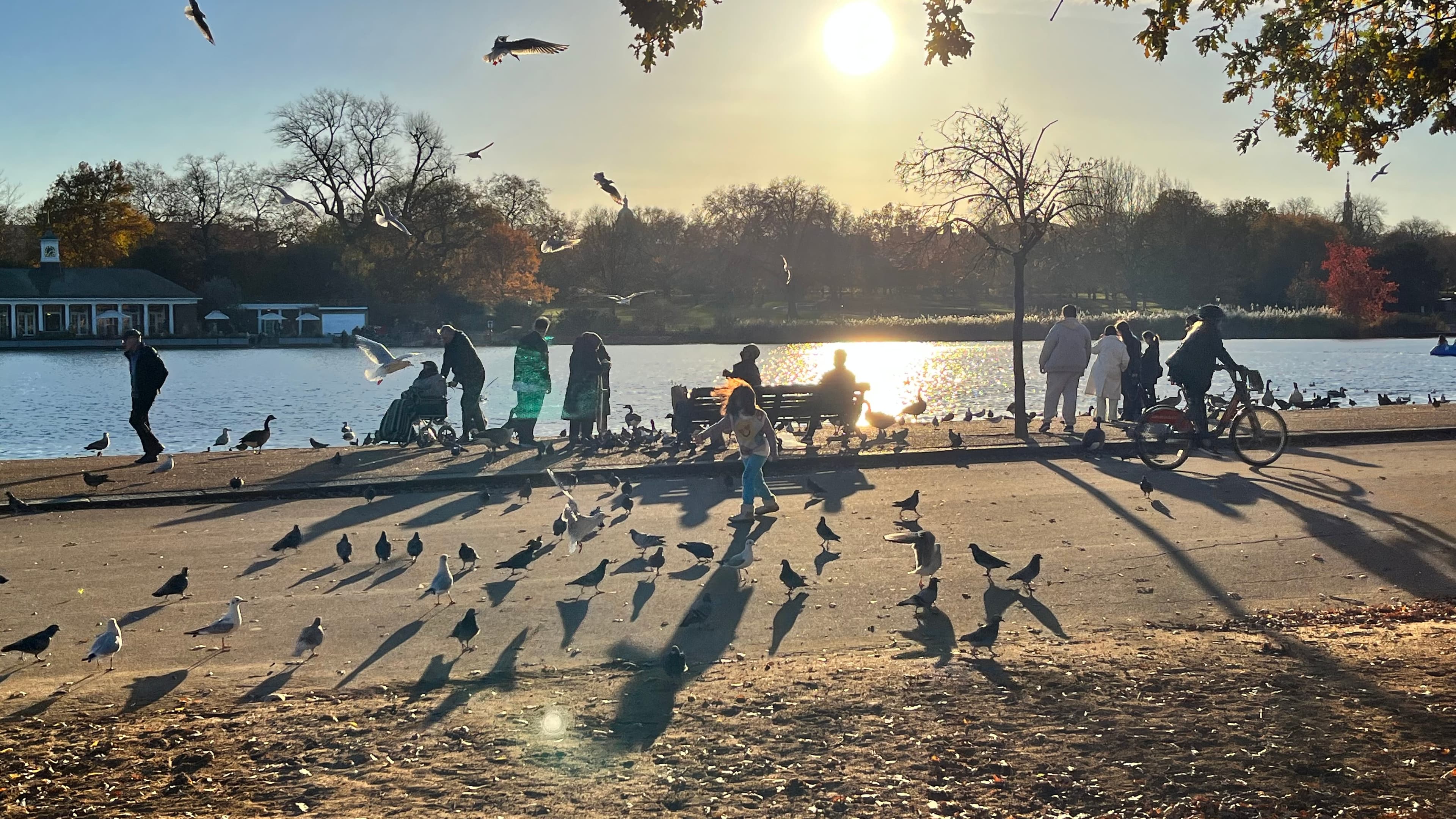 Background of a beautiful view